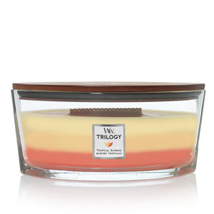 Woodwick - Candela Ellipse Trilogytropical Sunrise - Home and Glam