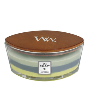 Woodwick - Candela Ellipse Trilogy Woodland Shade